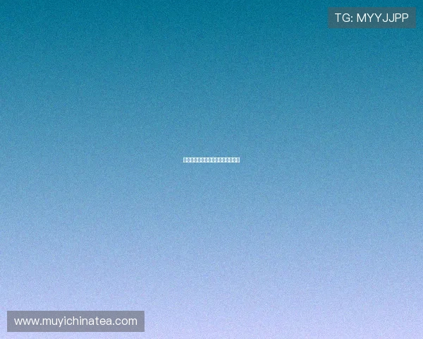 欲海风情画：欲望都市里的风情万种