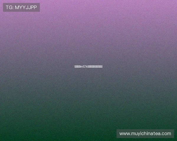 佐藤遥希ed2k:探索未知,链接无限