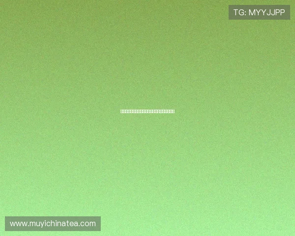 《女子落语》:笑声与泪光交织的传统艺术新篇章