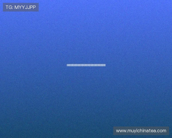 穿越时光的映画：森田芳光，那个用电影捕捉日常的温柔导演