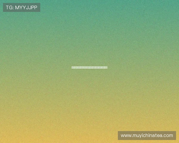 穿越时空的迷局：十二只猴子，一场宿命与自由的史诗